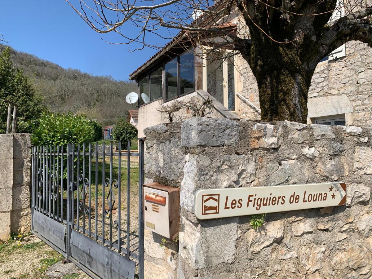 Les Figuiers De Louna - Pierre Ensoleillee - 110 M2 Et Une Veranda Saint-Géry 外观 照片
